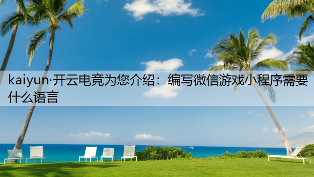 kaiyun·开云电竞为您介绍：编写微信游戏小程序需要什么语言