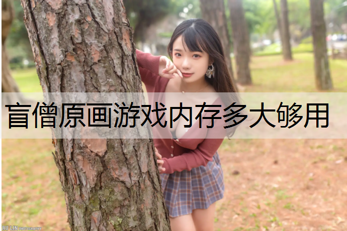 盲僧原画游戏内存多大够用