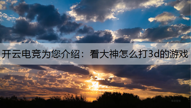 看大神怎么打3d的游戏