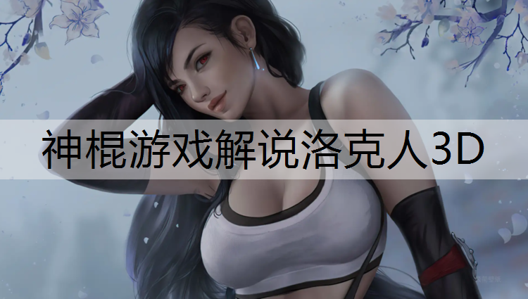 神棍游戏解说洛克人3D