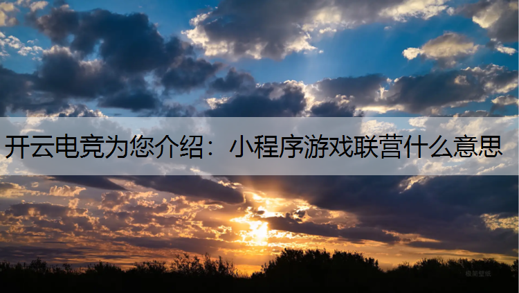小程序游戏联营什么意思